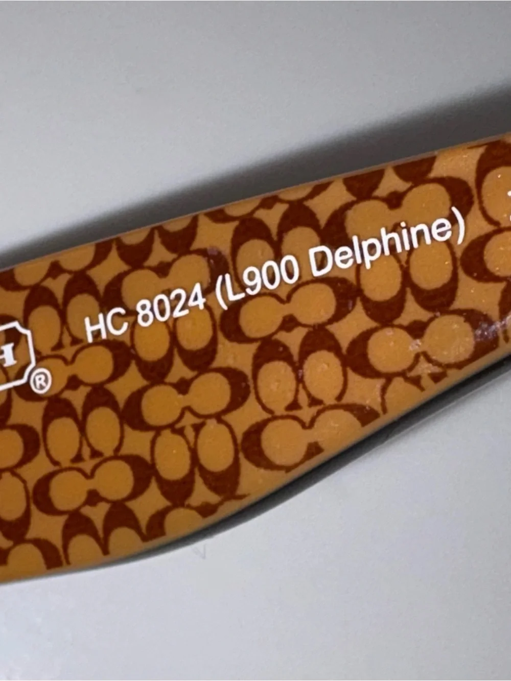 Coach Delphine Brown Gradient Lens Sunglasses with Patterned Temples HC 8024